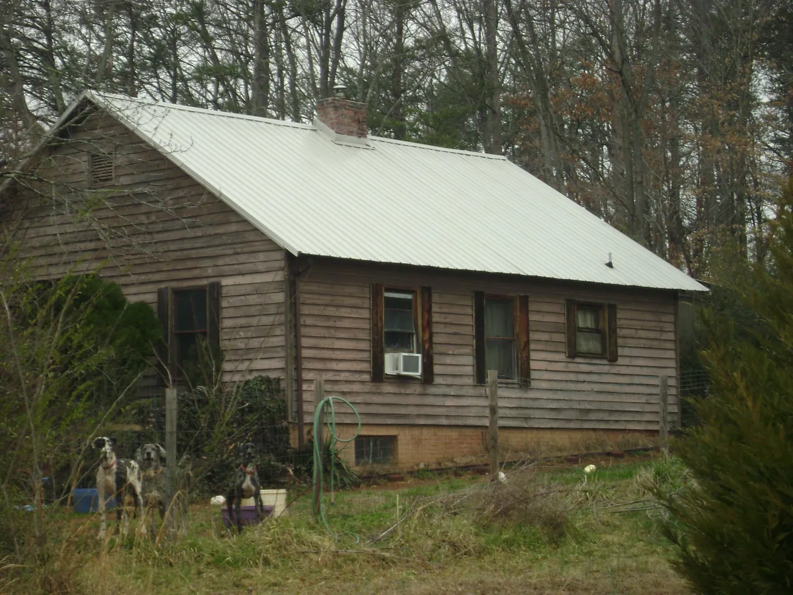 White metal roof on an old wood sided farmhouse, from a Asphalt Shingle Roof Repair job in Stevensburg